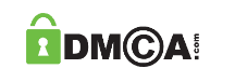 web application development services
